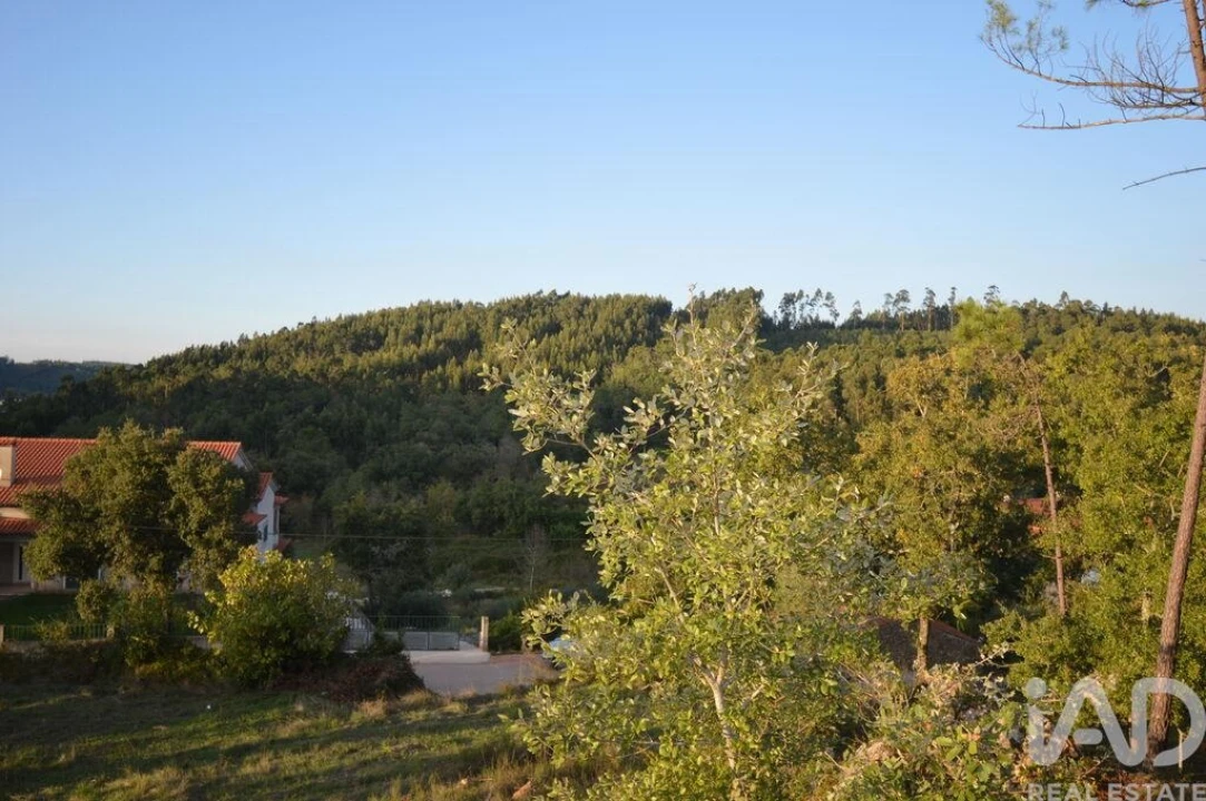 Terreno para Venda em São Miguel, Santa Eufémia e Rabaçal Foto 19