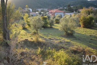 Terreno para Venda em São Miguel, Santa Eufémia e Rabaçal