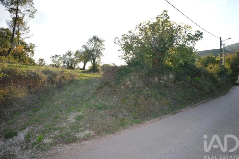 Terreno para Venda em São Miguel, Santa Eufémia e Rabaçal Foto 11