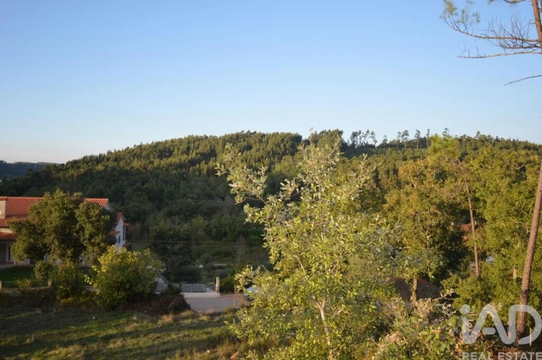 Terreno para Venda em São Miguel, Santa Eufémia e Rabaçal Foto 19