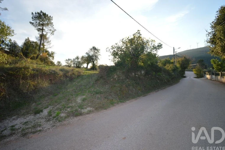 Terreno para Venda em São Miguel, Santa Eufémia e Rabaçal Foto 13