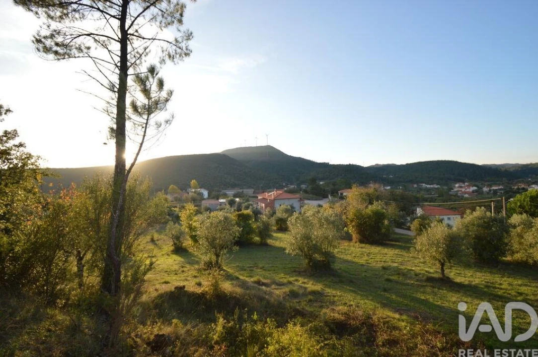 Terreno para Venda em São Miguel, Santa Eufémia e Rabaçal Foto 16
