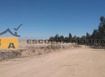 Terreno para Venda em Alfena