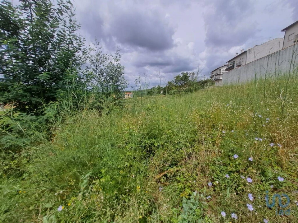 Terreno para Venda em Serpins Foto 2