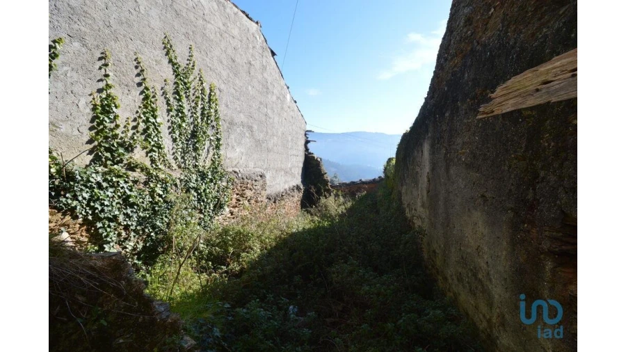 Moradia para Venda em Vila Nova Foto 7