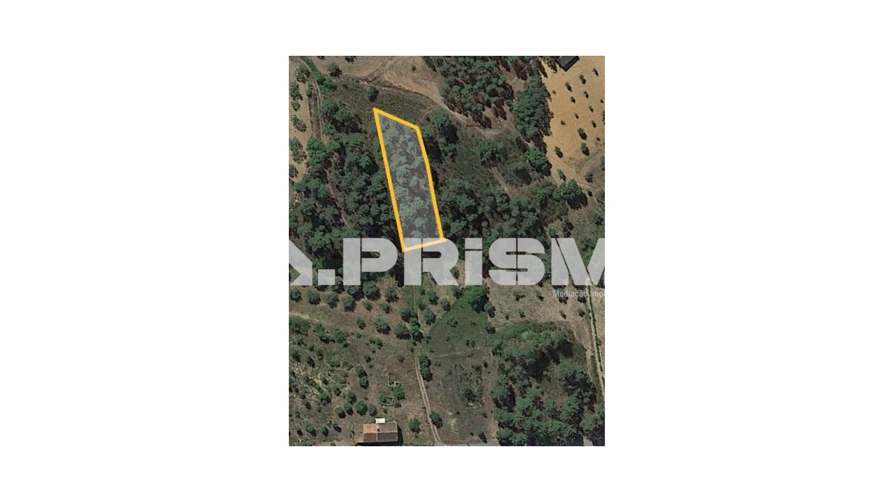 Terreno para Venda em Sarzedas Foto 1