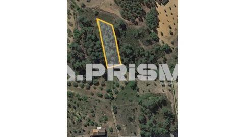 Terreno para Venda em Sarzedas