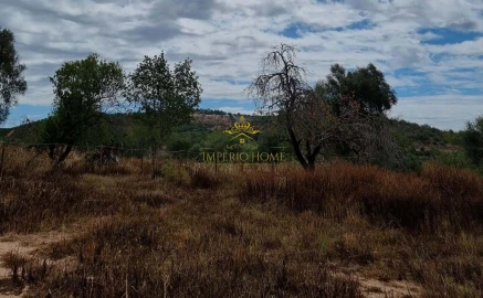 Terreno para Venda em São Silvestre