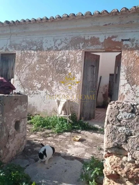 Terreno para Venda em São Silvestre