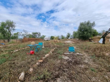 Terreno para Venda em São Silvestre