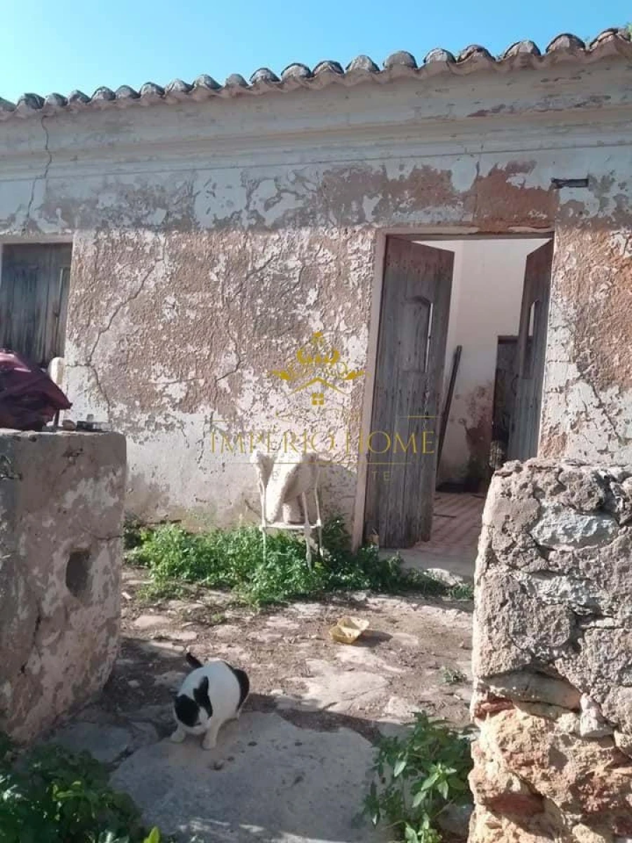 Terreno para Venda em São Silvestre Foto 6