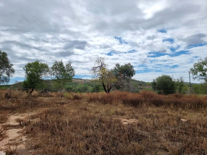 Terreno para Venda em São Silvestre Foto 11