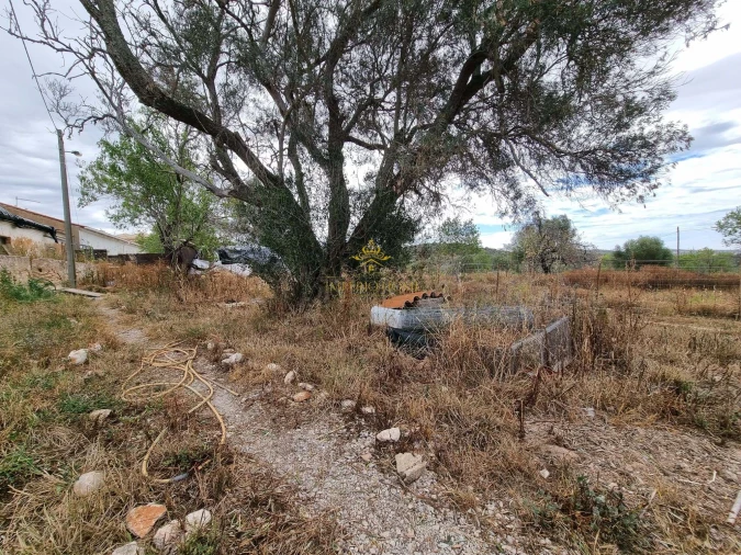 Terreno para Venda em São Silvestre Foto 9