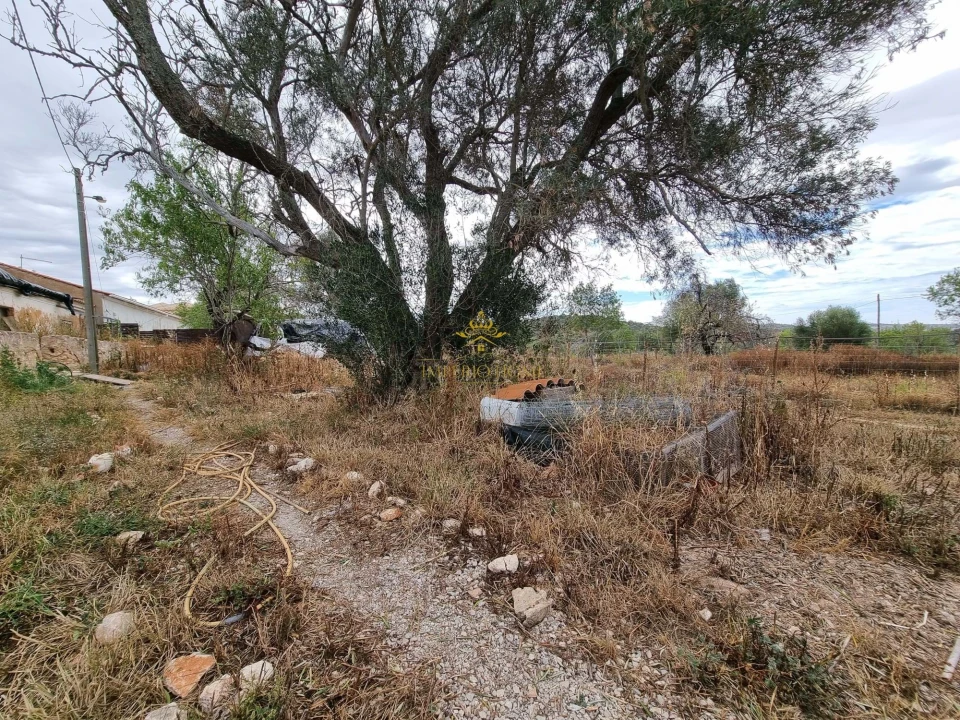 Terreno para Venda em São Silvestre Foto 9