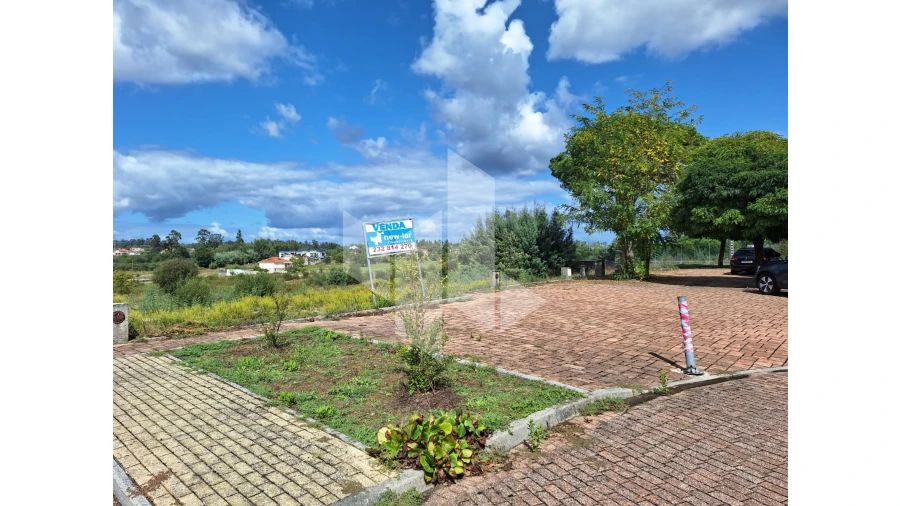 Terreno para Venda em Molelos Foto 4