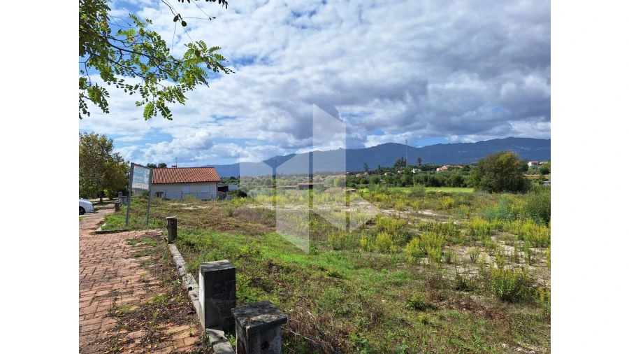 Terreno para Venda em Molelos Foto 2