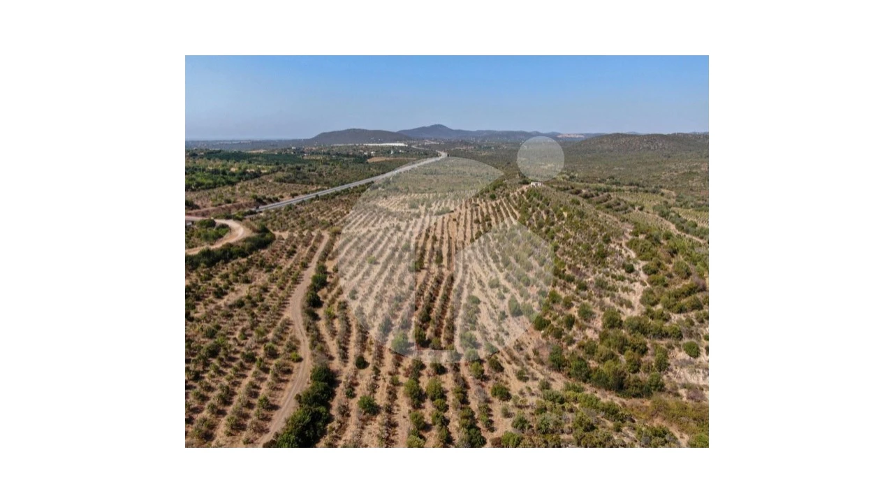 Terreno para Venda em Luz de Tavira e Santo Estêvão Foto 4
