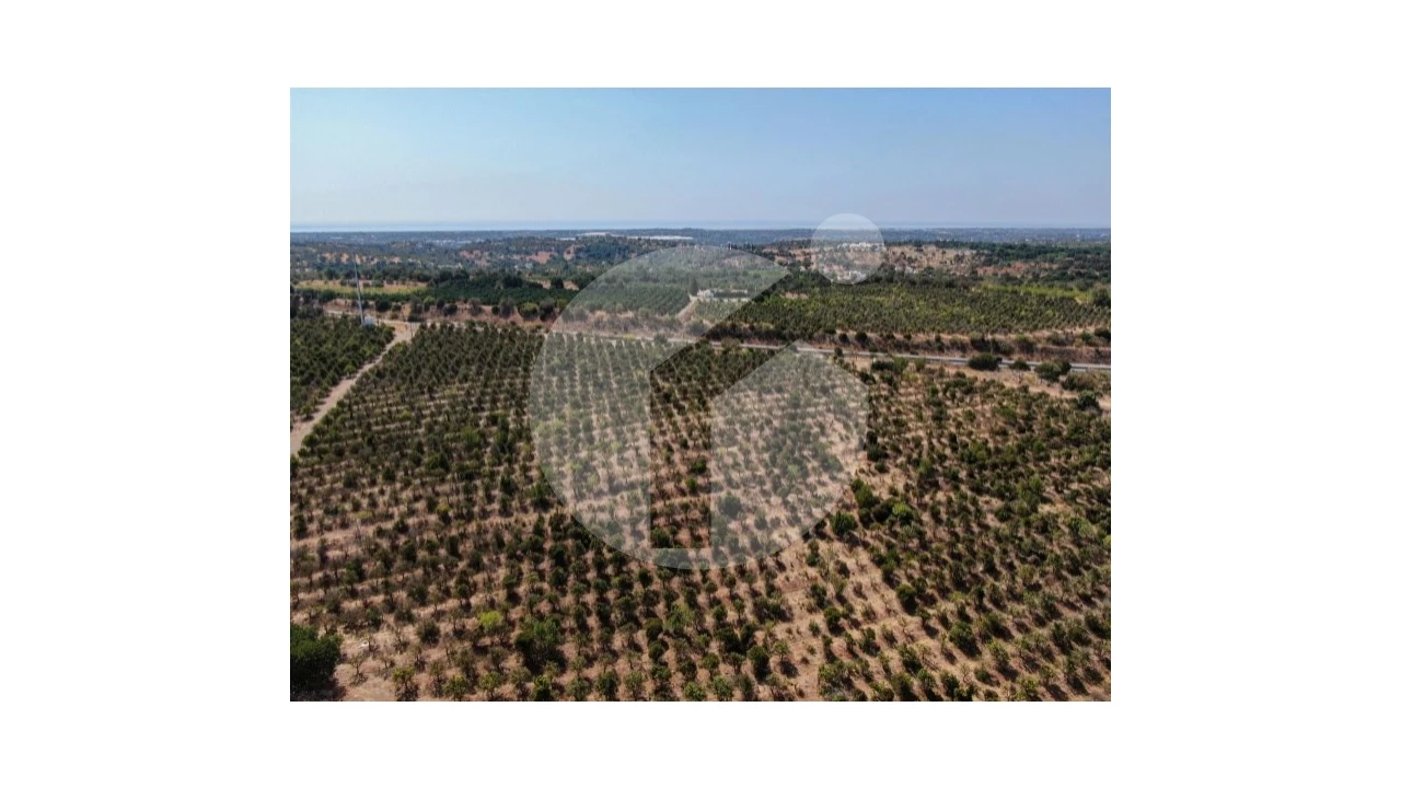 Terreno para Venda em Luz de Tavira e Santo Estêvão Foto 5