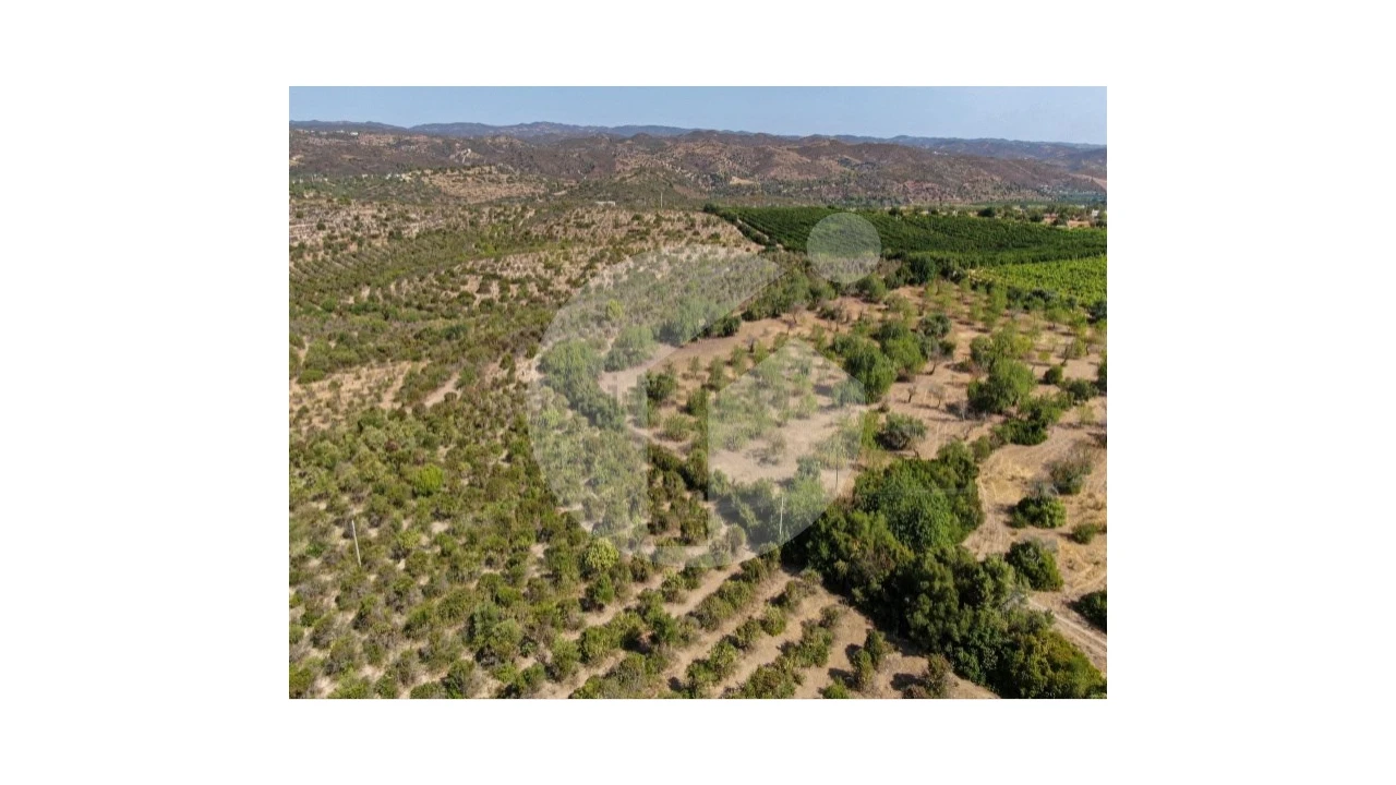 Terreno para Venda em Luz de Tavira e Santo Estêvão Foto 7