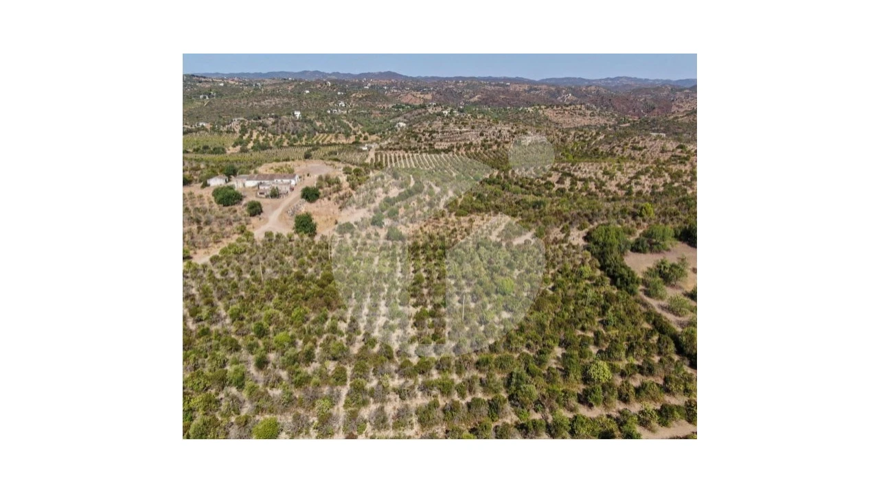 Terreno para Venda em Luz de Tavira e Santo Estêvão Foto 8