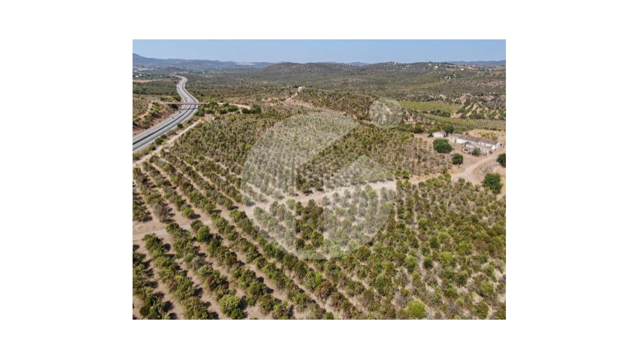 Terreno para Venda em Luz de Tavira e Santo Estêvão Foto 9