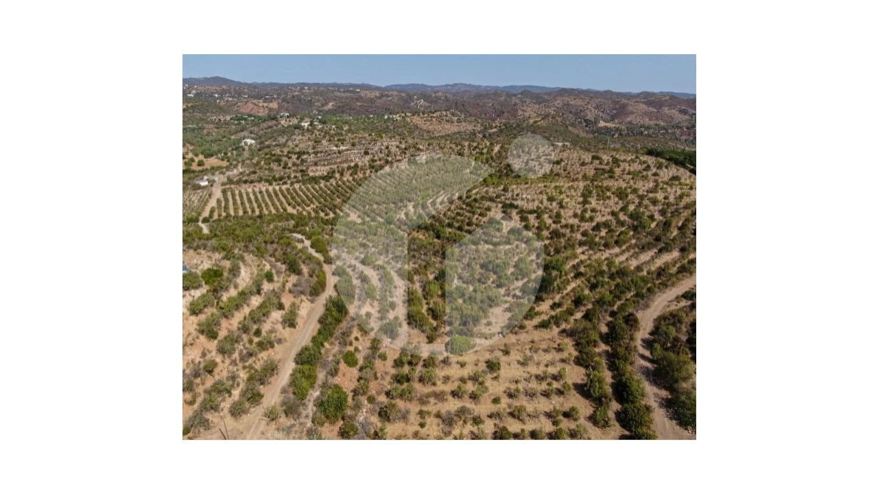 Terreno para Venda em Luz de Tavira e Santo Estêvão Foto 10