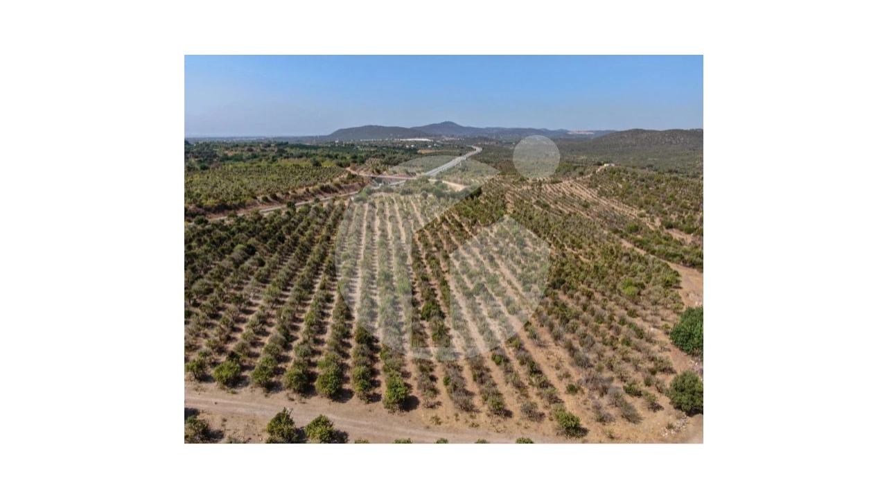 Terreno para Venda em Luz de Tavira e Santo Estêvão Foto 12