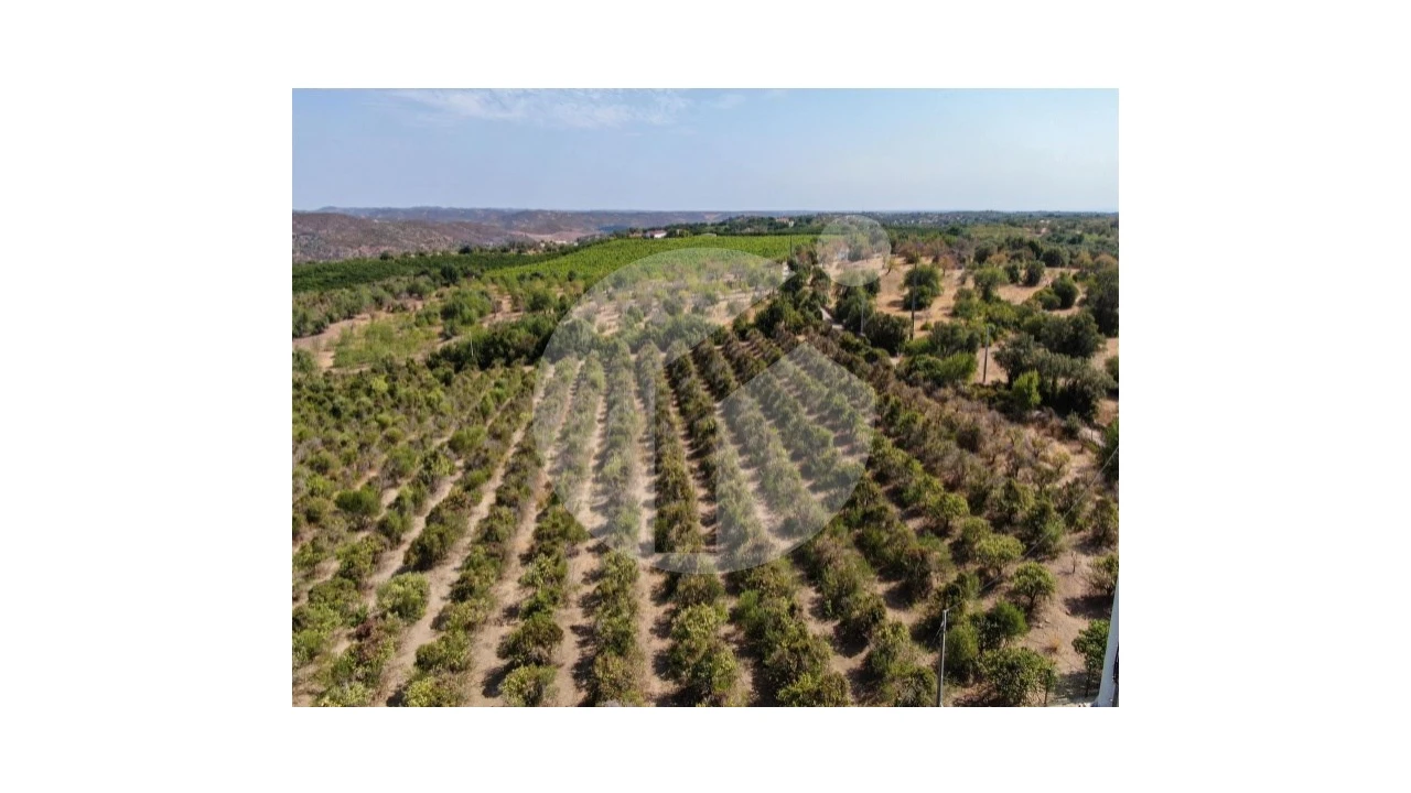 Terreno para Venda em Luz de Tavira e Santo Estêvão Foto 13