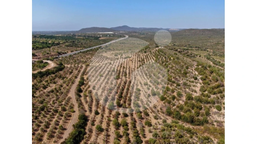 Terreno para Venda em Luz de Tavira e Santo Estêvão Foto 4
