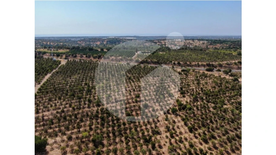 Terreno para Venda em Luz de Tavira e Santo Estêvão Foto 5