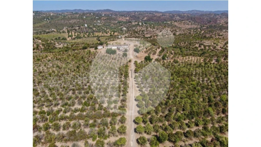 Terreno para Venda em Luz de Tavira e Santo Estêvão Foto 6