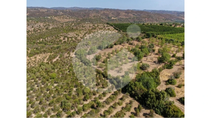 Terreno para Venda em Luz de Tavira e Santo Estêvão Foto 7