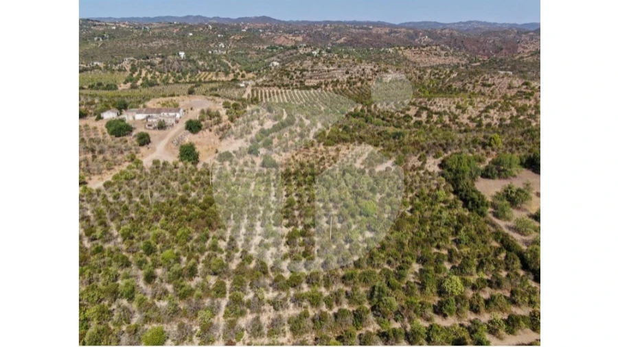 Terreno para Venda em Luz de Tavira e Santo Estêvão Foto 8