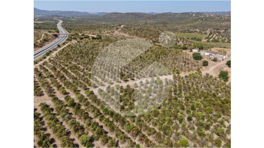 Terreno para Venda em Luz de Tavira e Santo Estêvão Foto 9