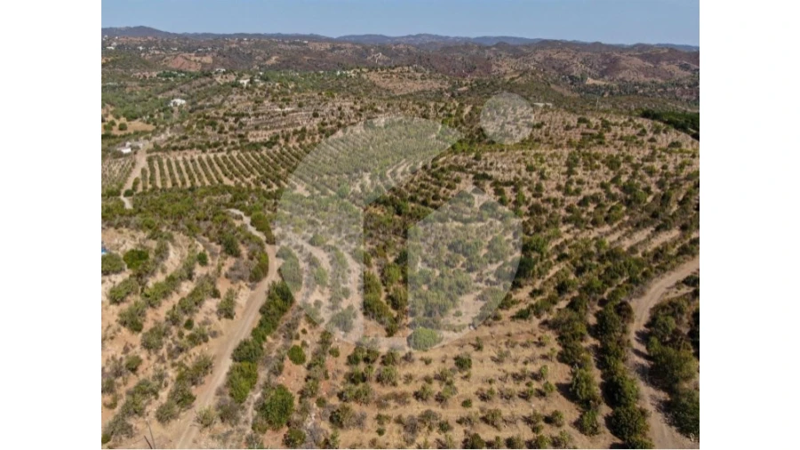 Terreno para Venda em Luz de Tavira e Santo Estêvão Foto 10