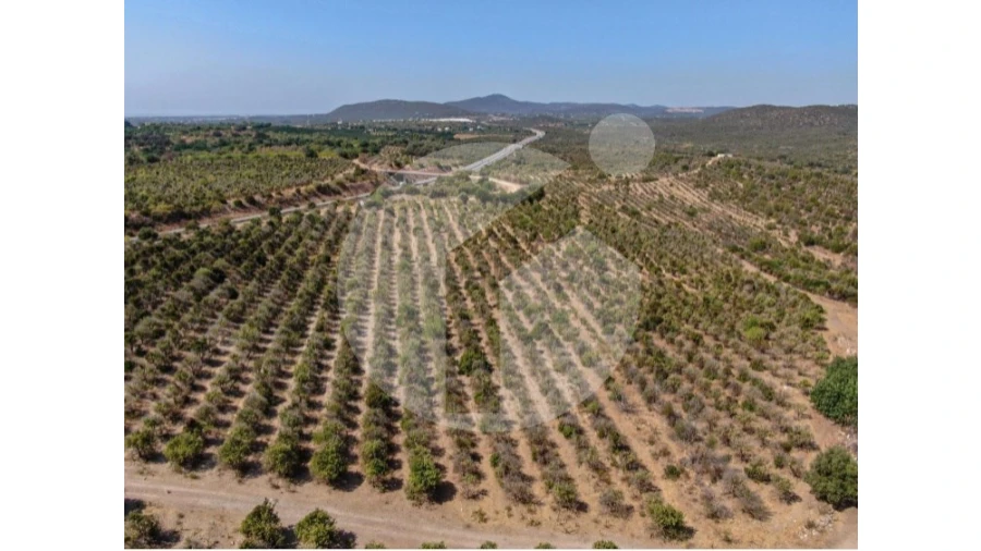 Terreno para Venda em Luz de Tavira e Santo Estêvão Foto 12