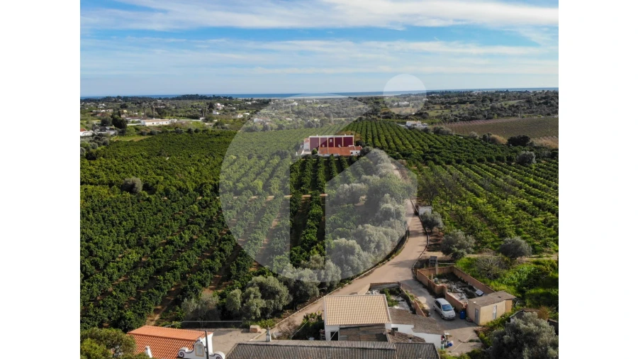 Moradia T12 para Venda em Luz de Tavira e Santo Estêvão Foto 19