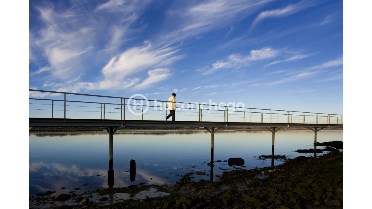 Moradia T6 para Venda em Esposende, Marinhas e Gandra Foto 13