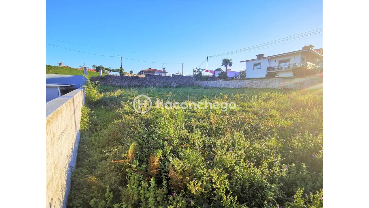 Terreno para Venda em Varzea Foto 3