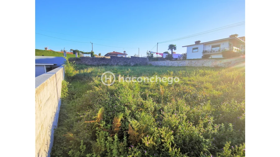 Terreno para Venda em Varzea Foto 3