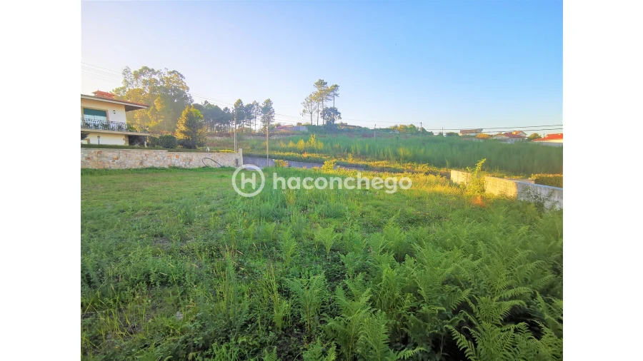 Terreno para Venda em Varzea Foto 5