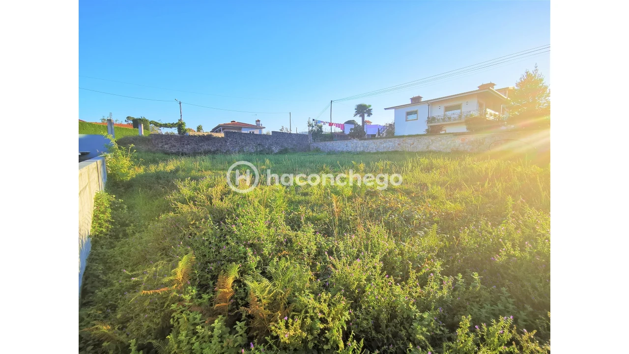 Terreno para Venda em Varzea Foto 4