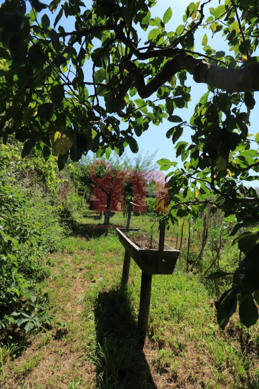 Moradia T5 para Venda em Conde e Gandarela Foto 73