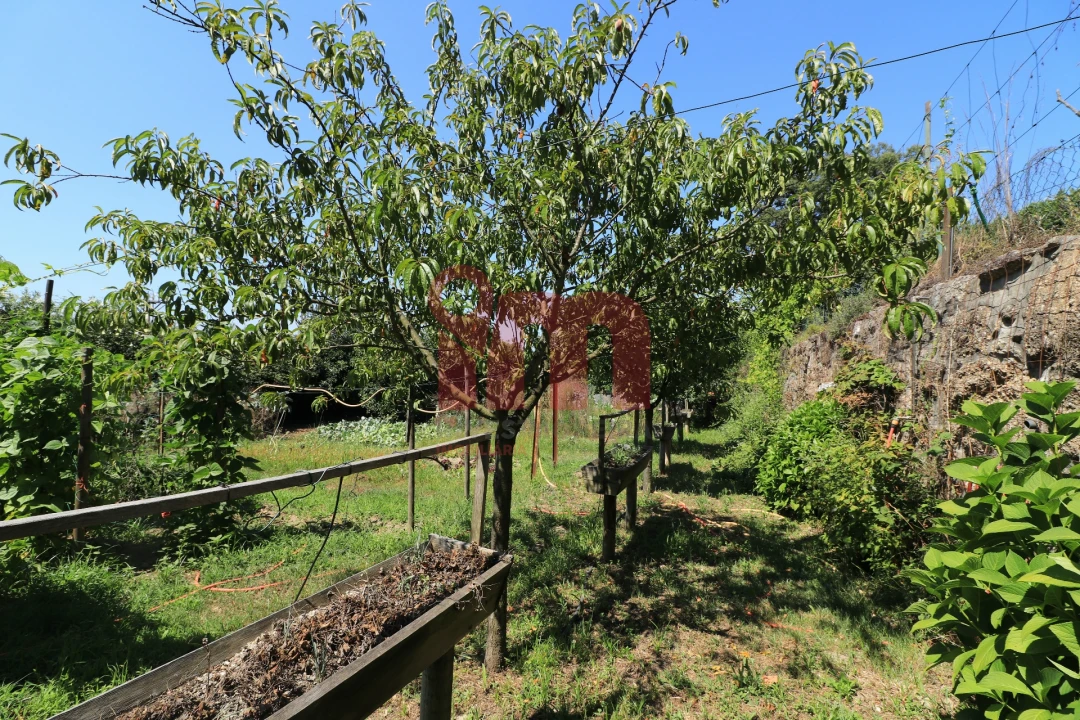 Moradia T5 para Venda em Conde e Gandarela Foto 86