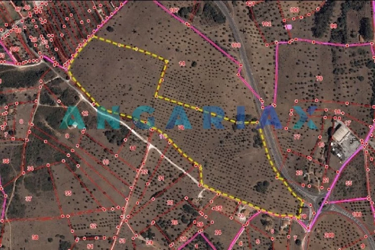 Terreno para Venda em Alcanena e Vila Moreira Foto 13