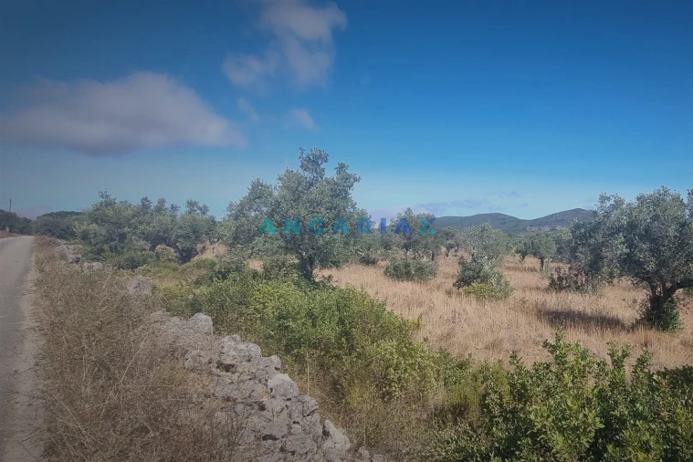 Terreno para Venda em Alcanena e Vila Moreira Foto 8