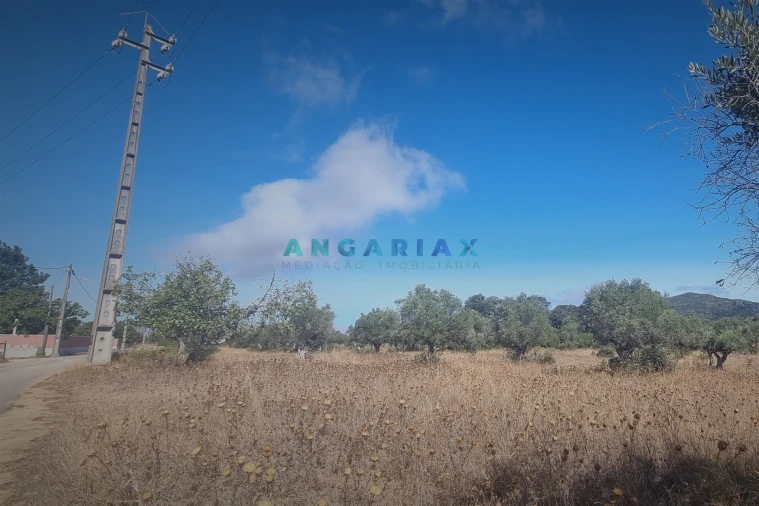 Terreno para Venda em Alcanena e Vila Moreira Foto 1