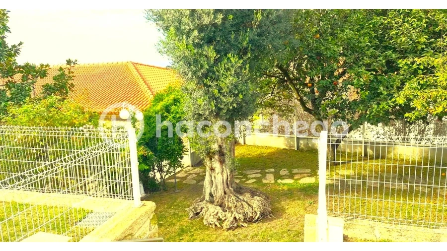 Quinta T1 para Venda em Milhazes, Vilar de Figos e Faria Foto 31