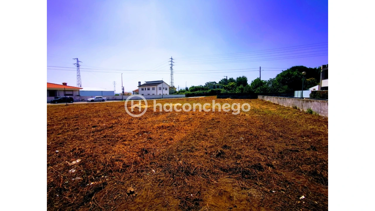 Terreno para Venda em Galegos (São Martinho) Foto 3