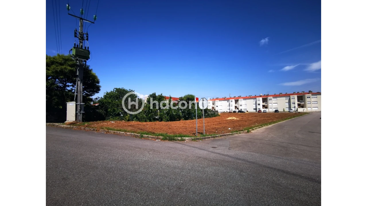 Terreno para Venda em Galegos (São Martinho) Foto 7